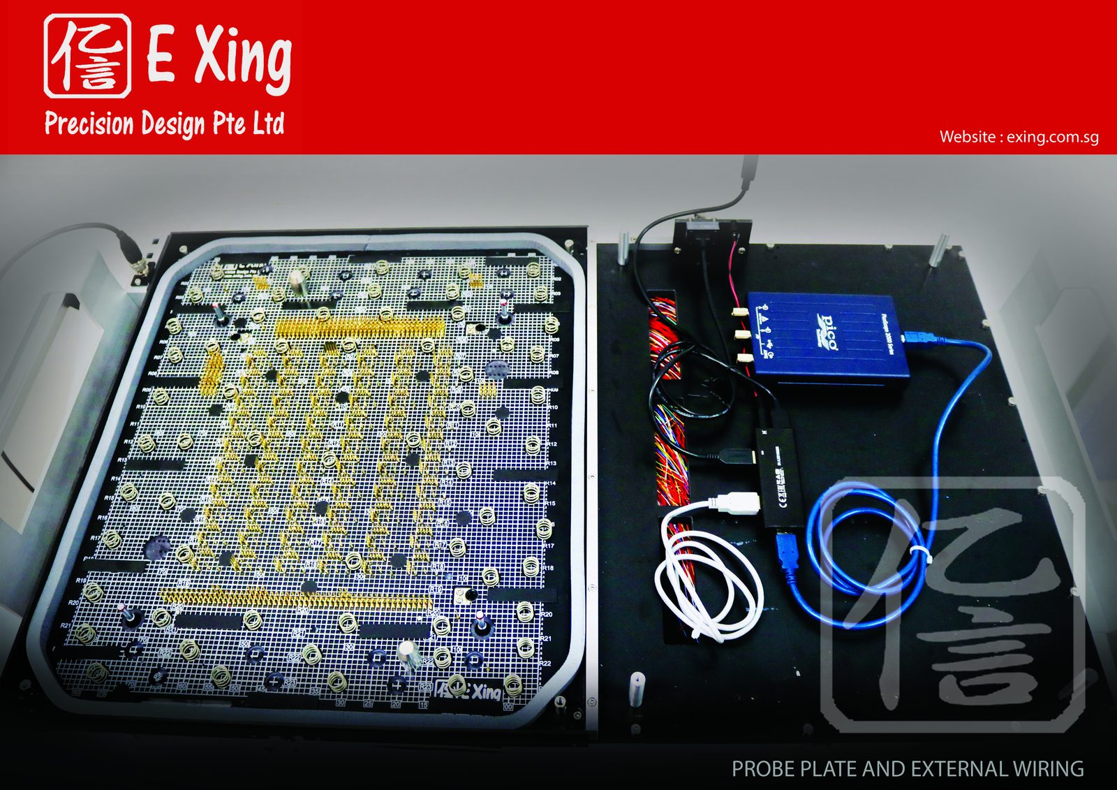 E Xing Probe Plate and External Wiring